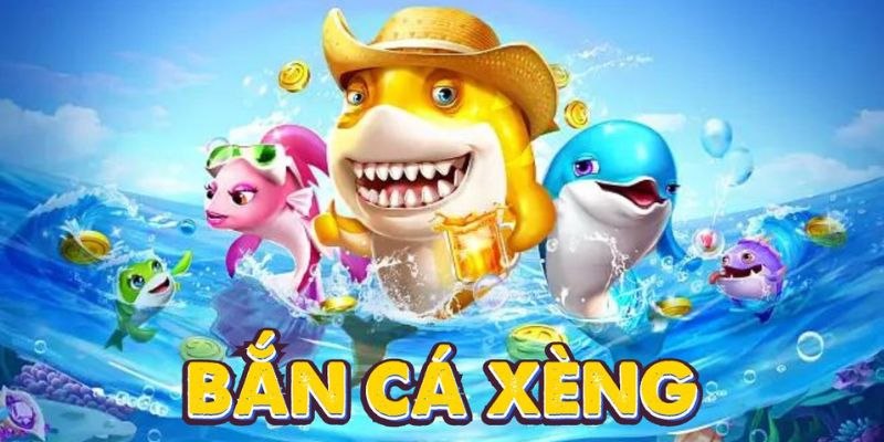 Đôi nét về chương trình tặng mã code
