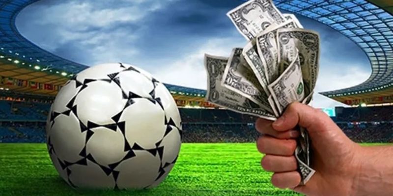 Hiểu được biến động để theo dõi trọn vẹn ván
