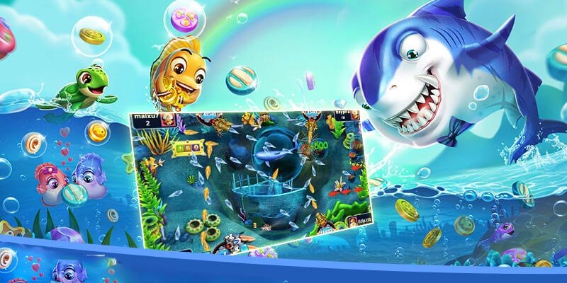 Quy định cơ bản về săn cá kingfun