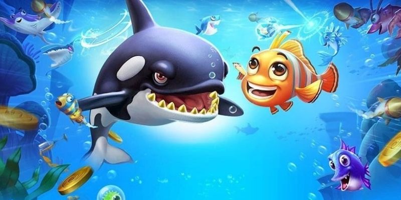 Trải nghiệm săn ngư Hải Vương cực kỳ chất lượng